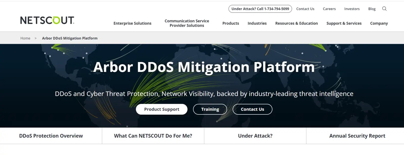 DDoS Protection service